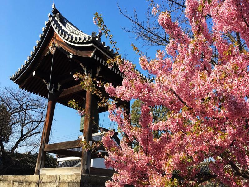 Stay Sakura Kyoto Toji West I Zewnętrze zdjęcie