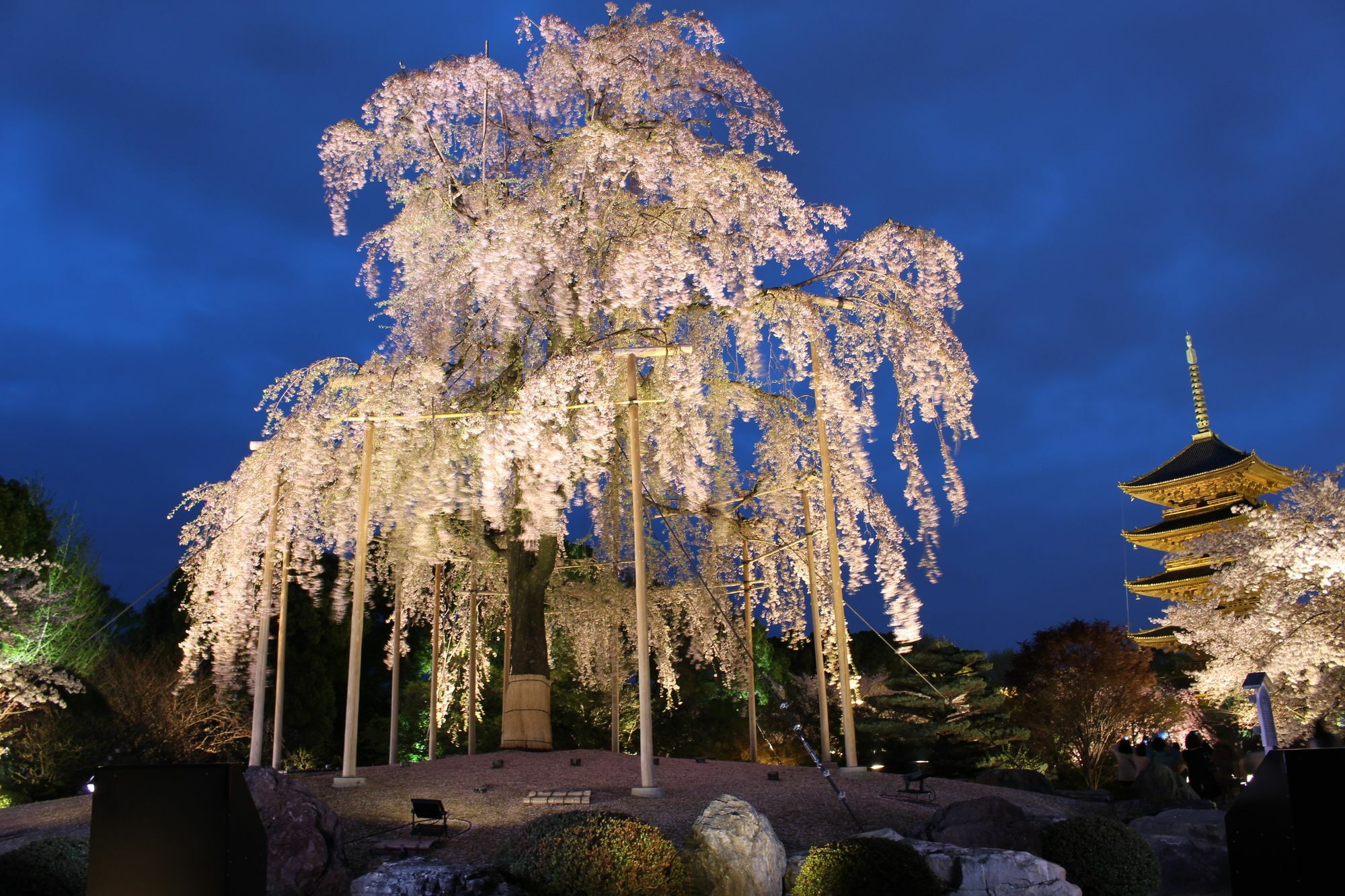 Stay Sakura Kyoto Toji West I Zewnętrze zdjęcie