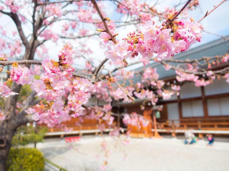 Stay Sakura Kyoto Toji West I Zewnętrze zdjęcie