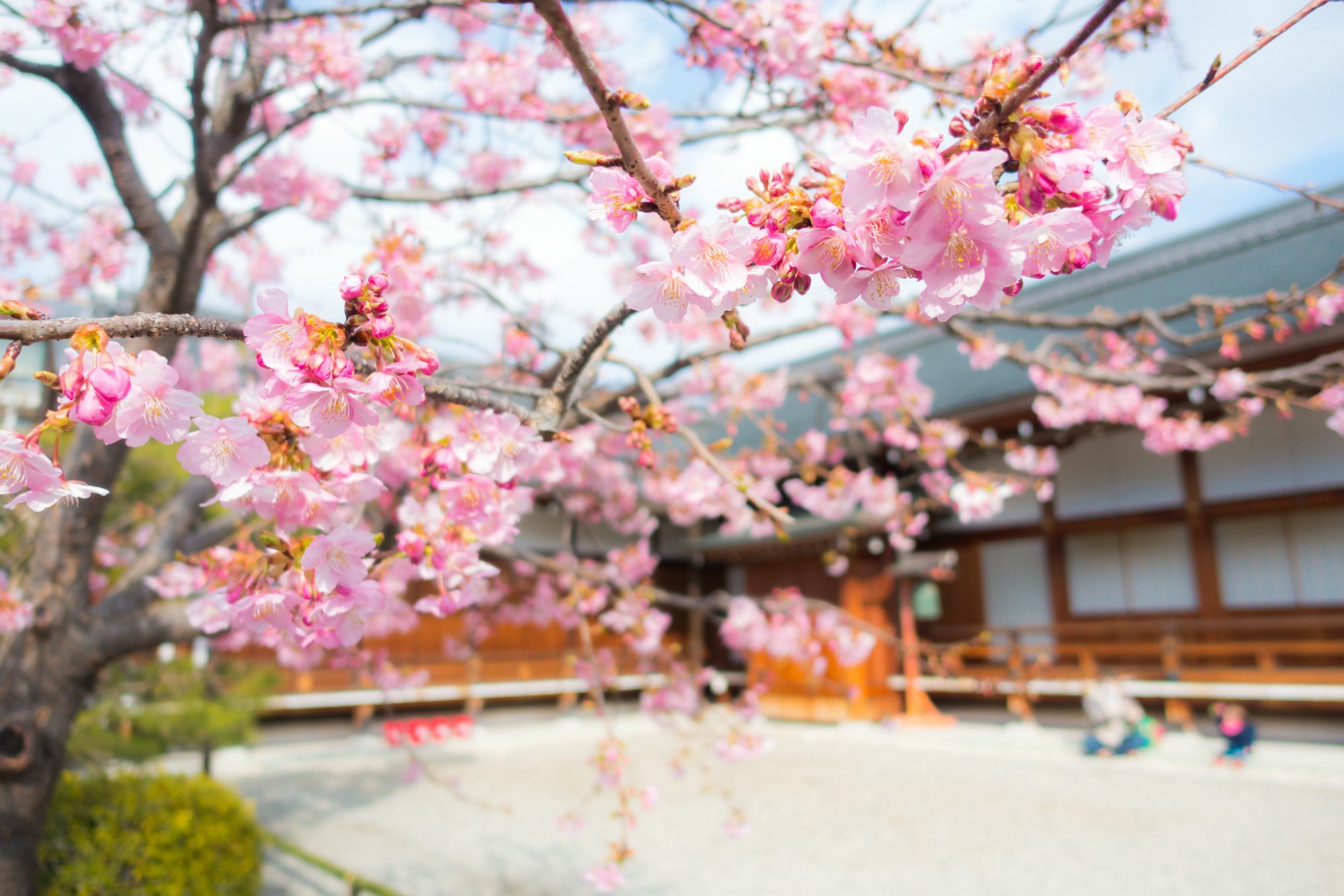 Stay Sakura Kyoto Toji West I Zewnętrze zdjęcie